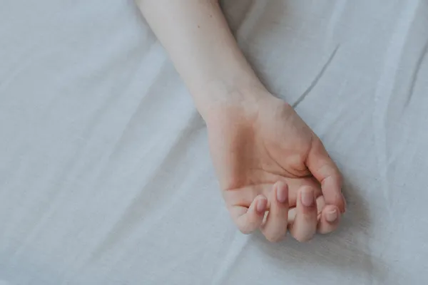 Bed Bug Treatment Services